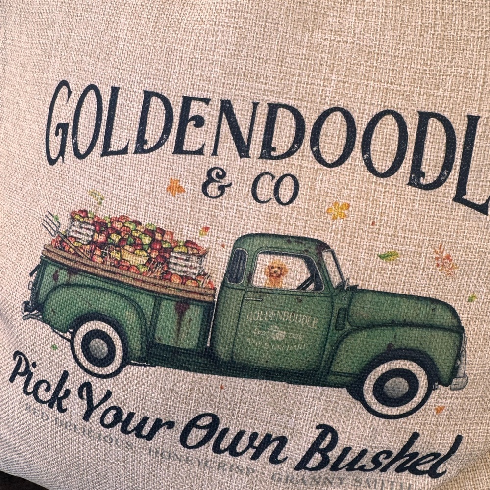 Soft canvas Goldendoodle Decorative Pillow - Picture 2 of 2